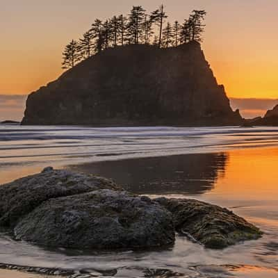 Second Beach Sea Stacks, USA