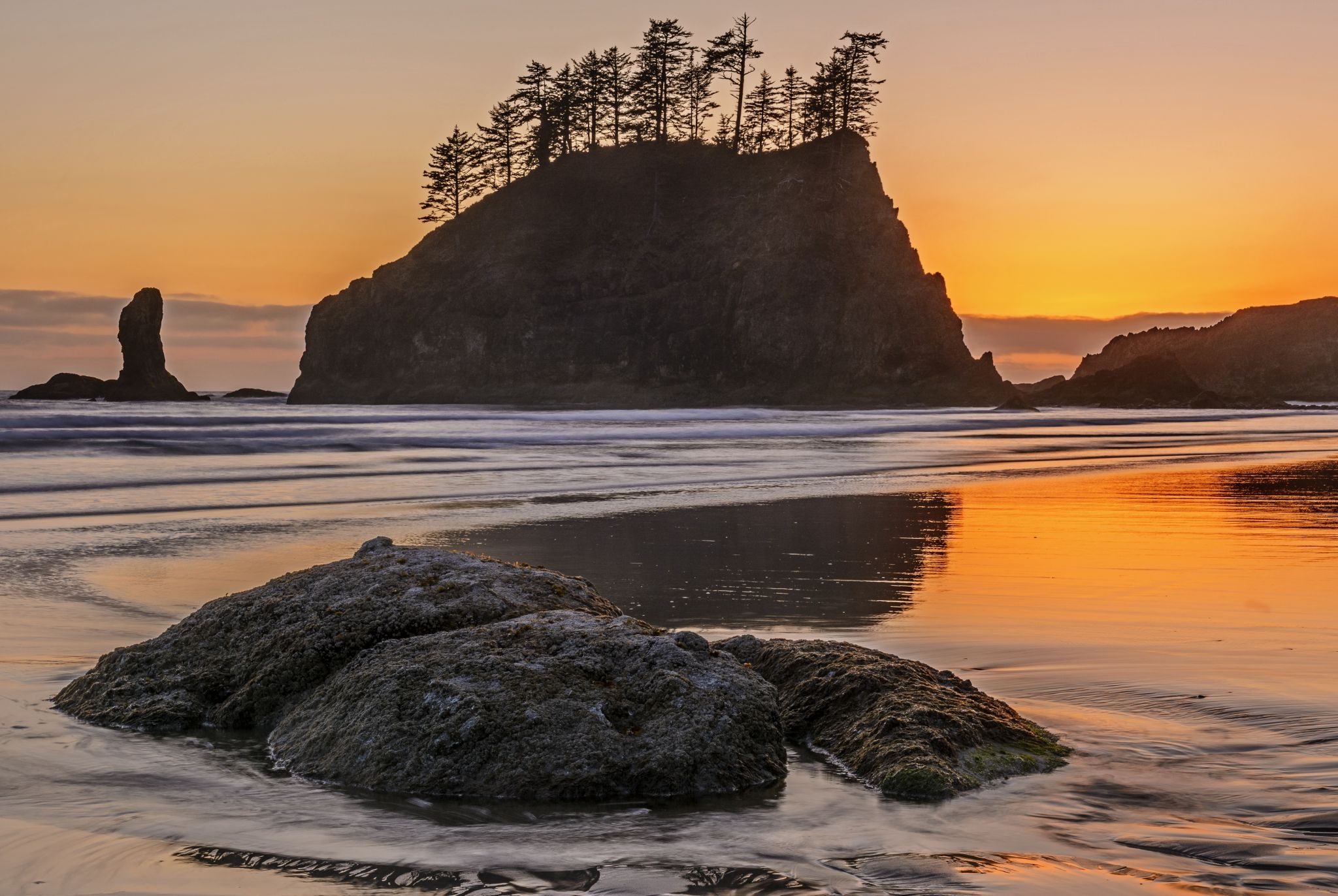 Second Beach Sea Stacks, USA