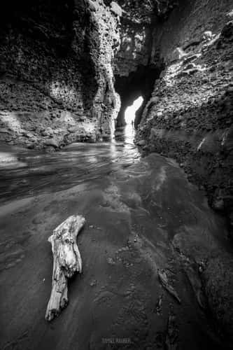 The Blowhole