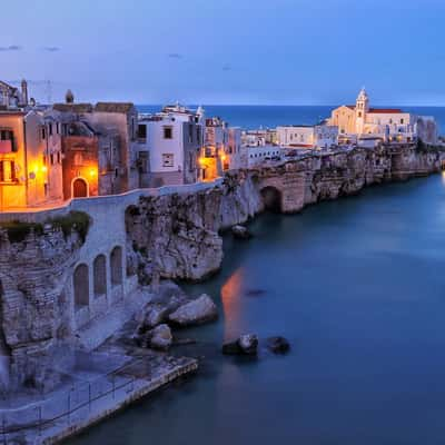 View of old town Vieste, Italy