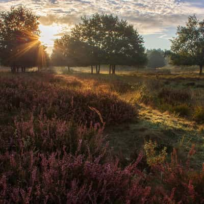 Wahner Heide, Germany