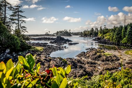 Wild Pacific Trail (Ucluelet)