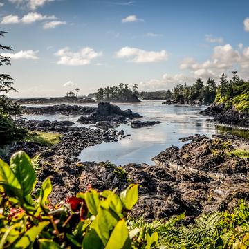 Wild Pacific Trail (Ucluelet), Canada