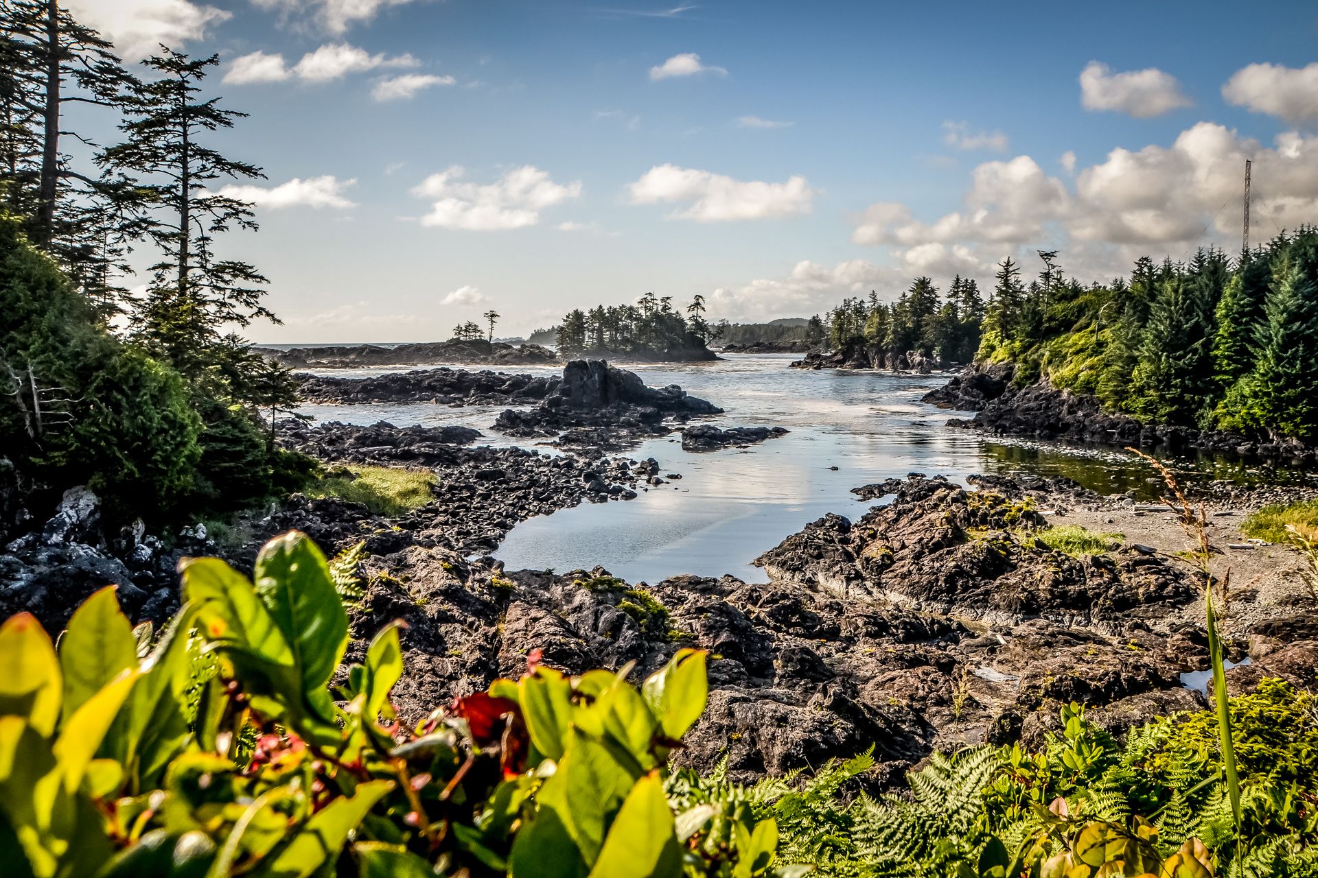 Wild Pacific Trail (Ucluelet), Canada
