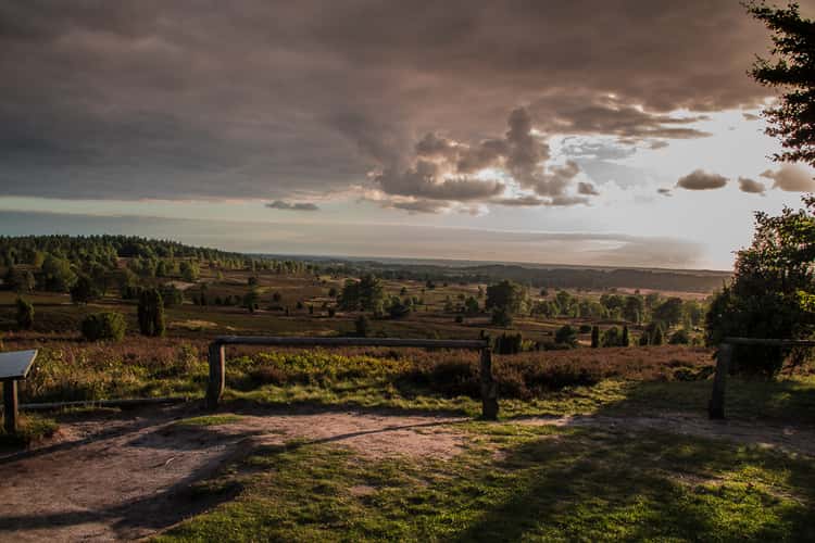 Wilseder Berg, Lüneburger Heide