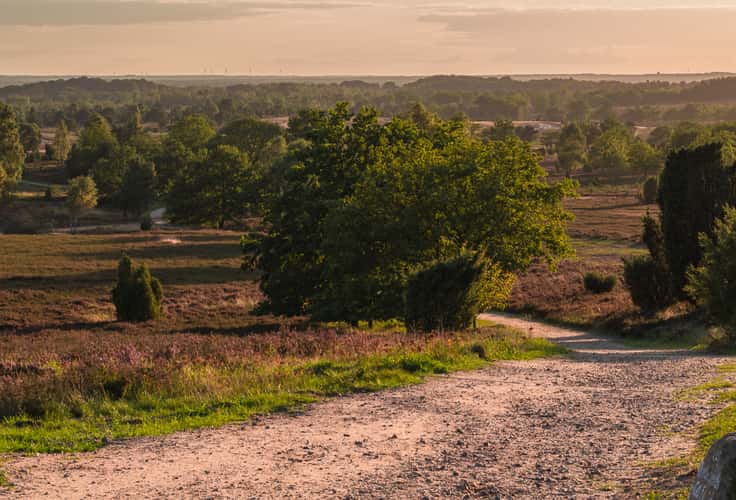 Wilseder Berg, Lüneburger Heide