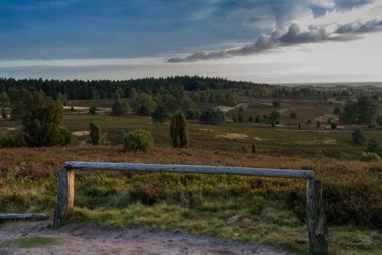 Wilseder Berg, Lüneburger Heide
