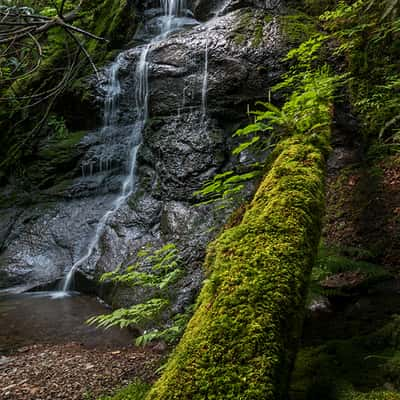 Flynnfalls, Canada