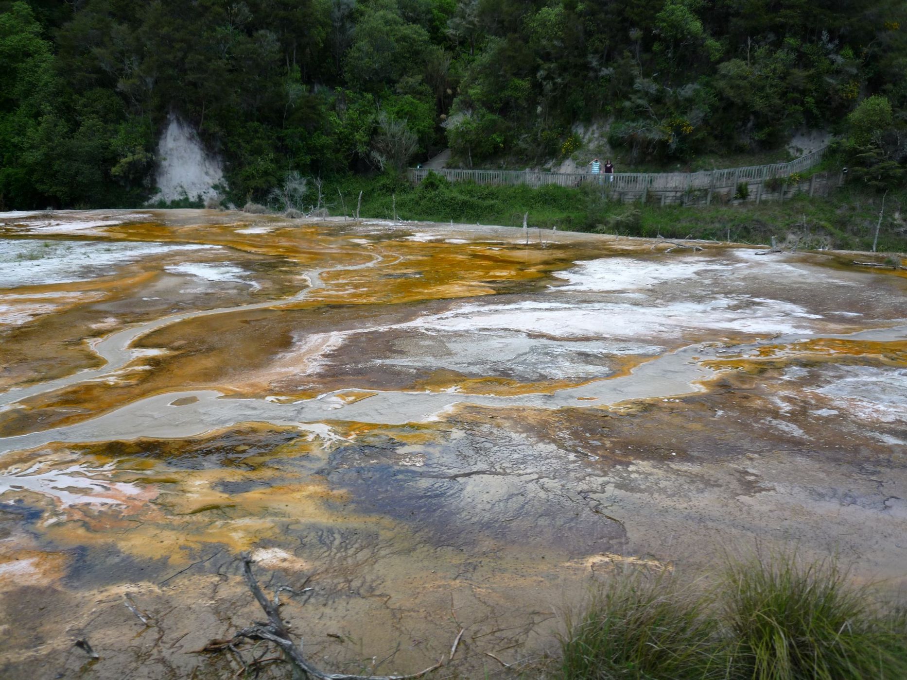 Frying Pan Lake, New Zealand