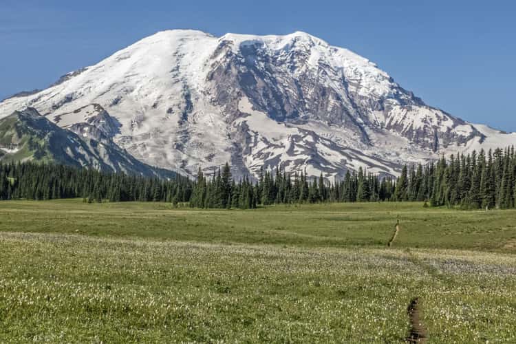 Mount Rainer
