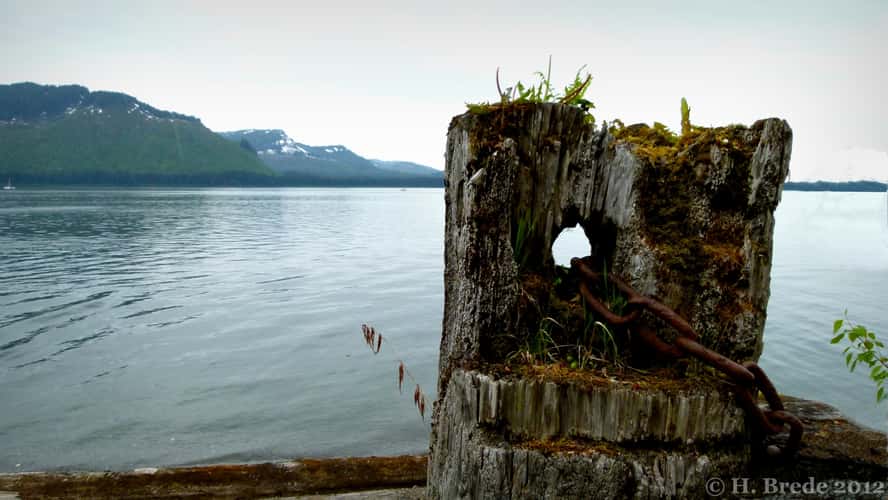 Icy Strait Point 2
