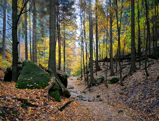 In the Elbsandsteingebirge