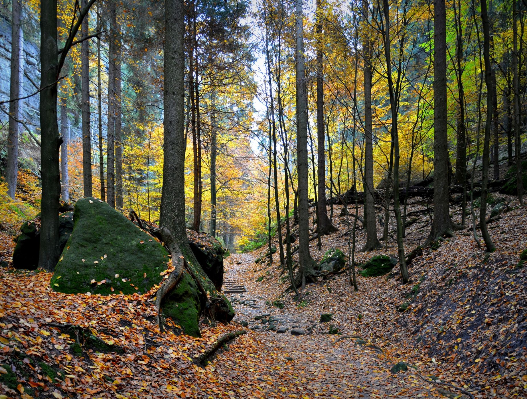 In the Elbsandsteingebirge, Germany