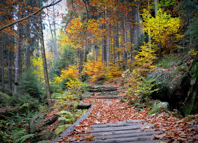 In the Elbsandsteingebirge