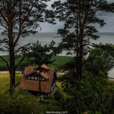 In The Woods, Lithuania