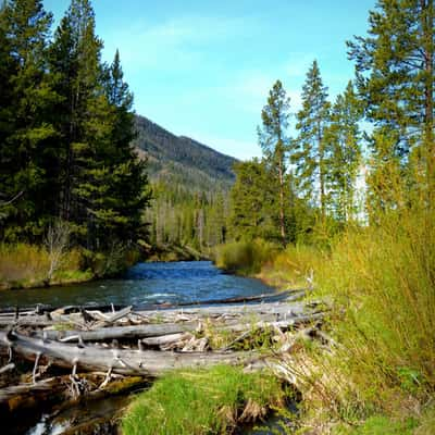 In the Yellowstone National Park, USA