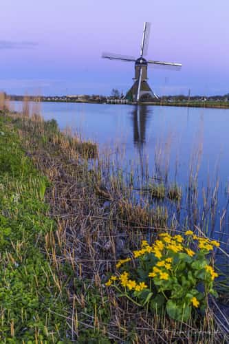 Kinderdijk
