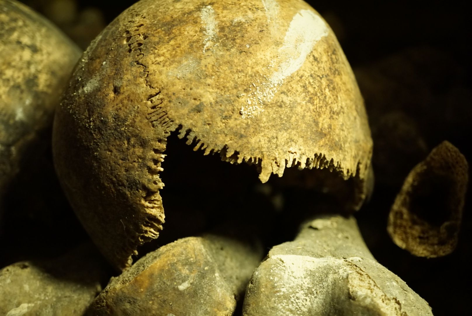 Les catacombes des Paris, France