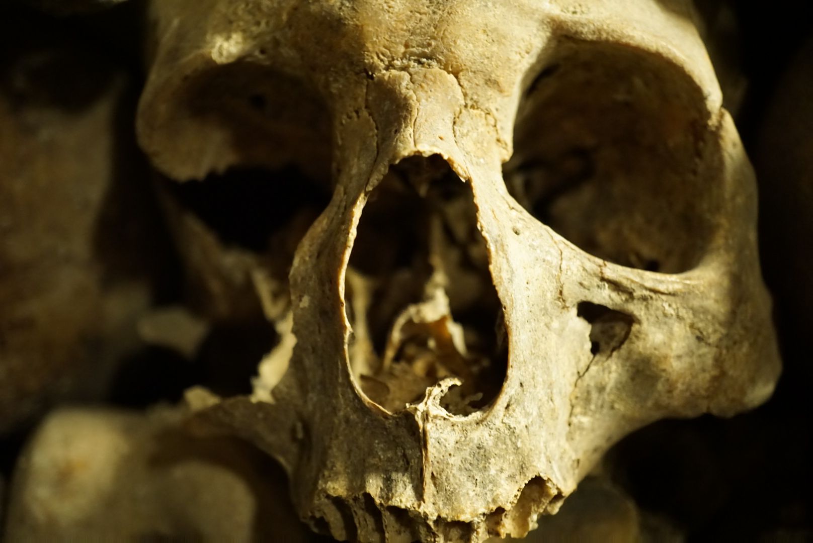 Les catacombes des Paris, France