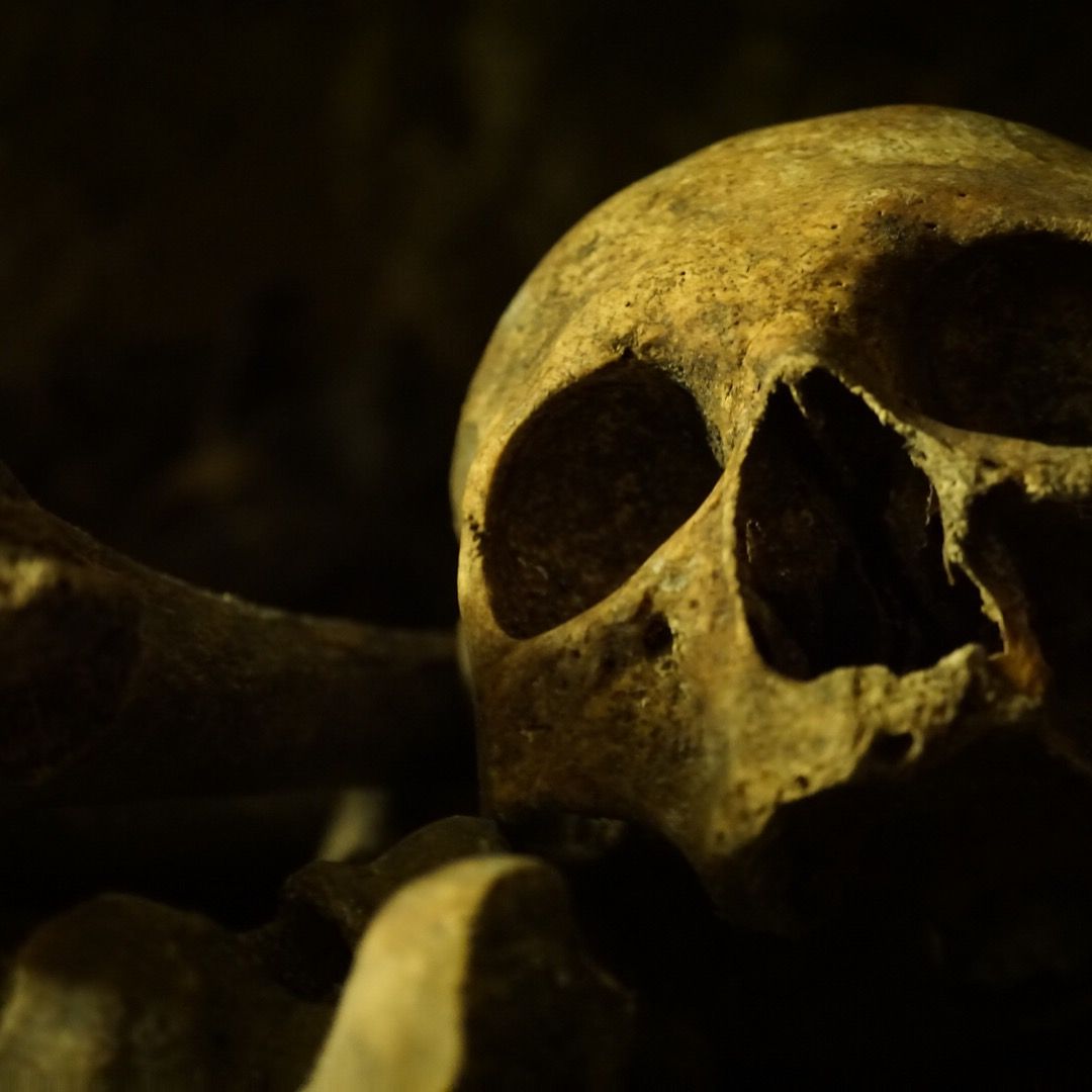 Les catacombes des Paris, France