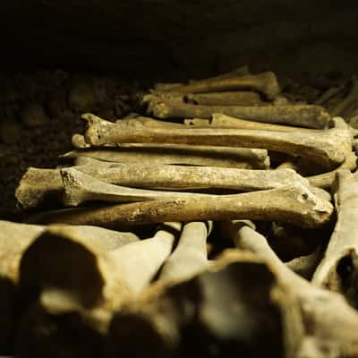 Les catacombes des Paris, France