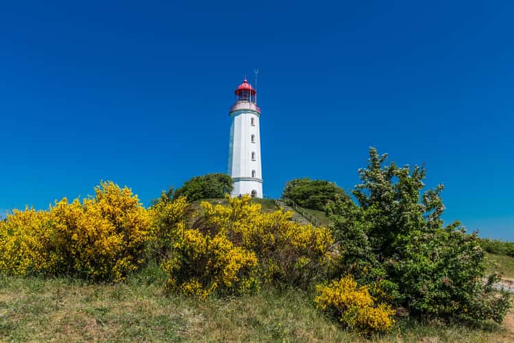 Lighthouse Dornbusch Close Up