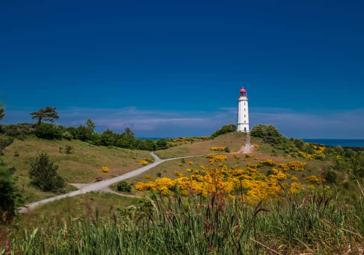 Lighthouse Dornbusch