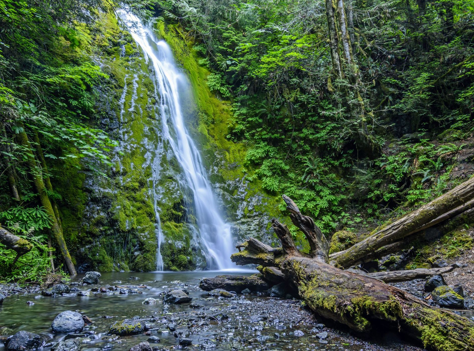 Madison Creek Falls, USA