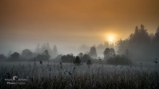Morning sun behind the fog