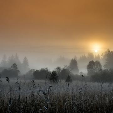Morning sun behind the fog, Germany
