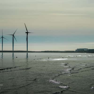 Morningbreeze in Denmark, Denmark