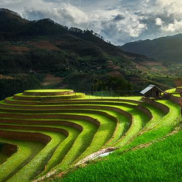 Mu Cang Chai Rice Terraces, Vietnam