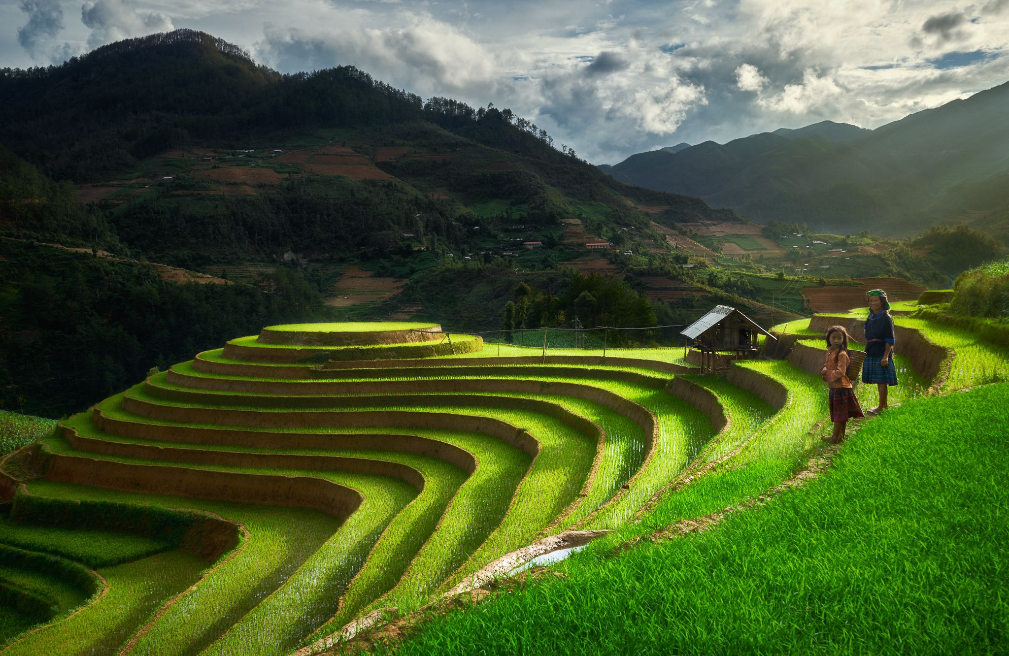 Mu Cang Chai Rice Terraces, Vietnam