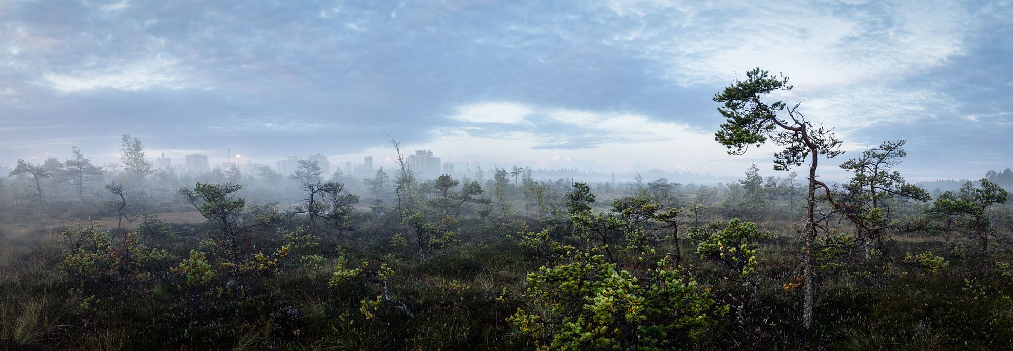 Oil Refinery Swamp, Finland