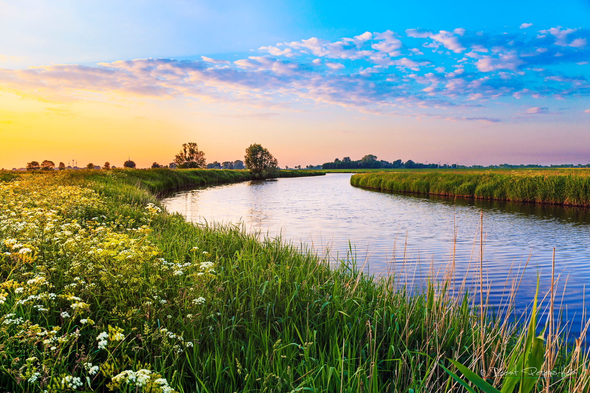 River Harle near Funnix, Germany