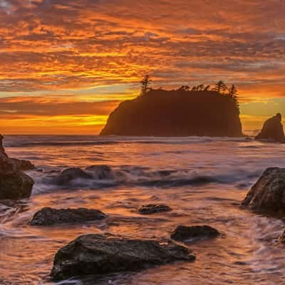 Ruby Beach Sea Stacks, USA