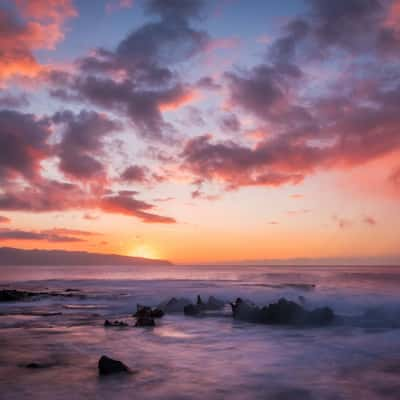 Shark's Cove, USA