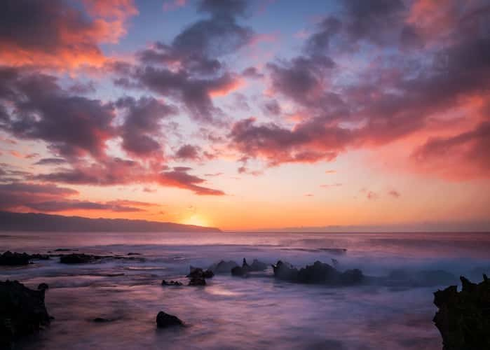 Shark's Cove