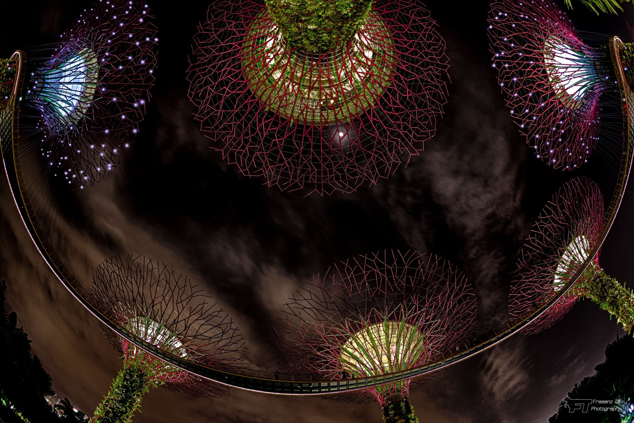 Supertree Grove - Gardens by the bay, Singapore, Singapore