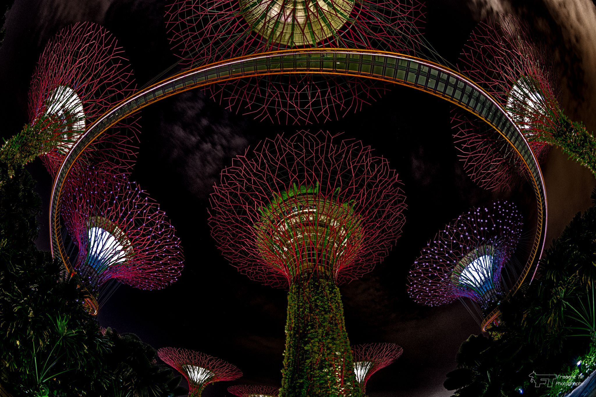 Supertree Grove - Gardens by the bay, Singapore, Singapore