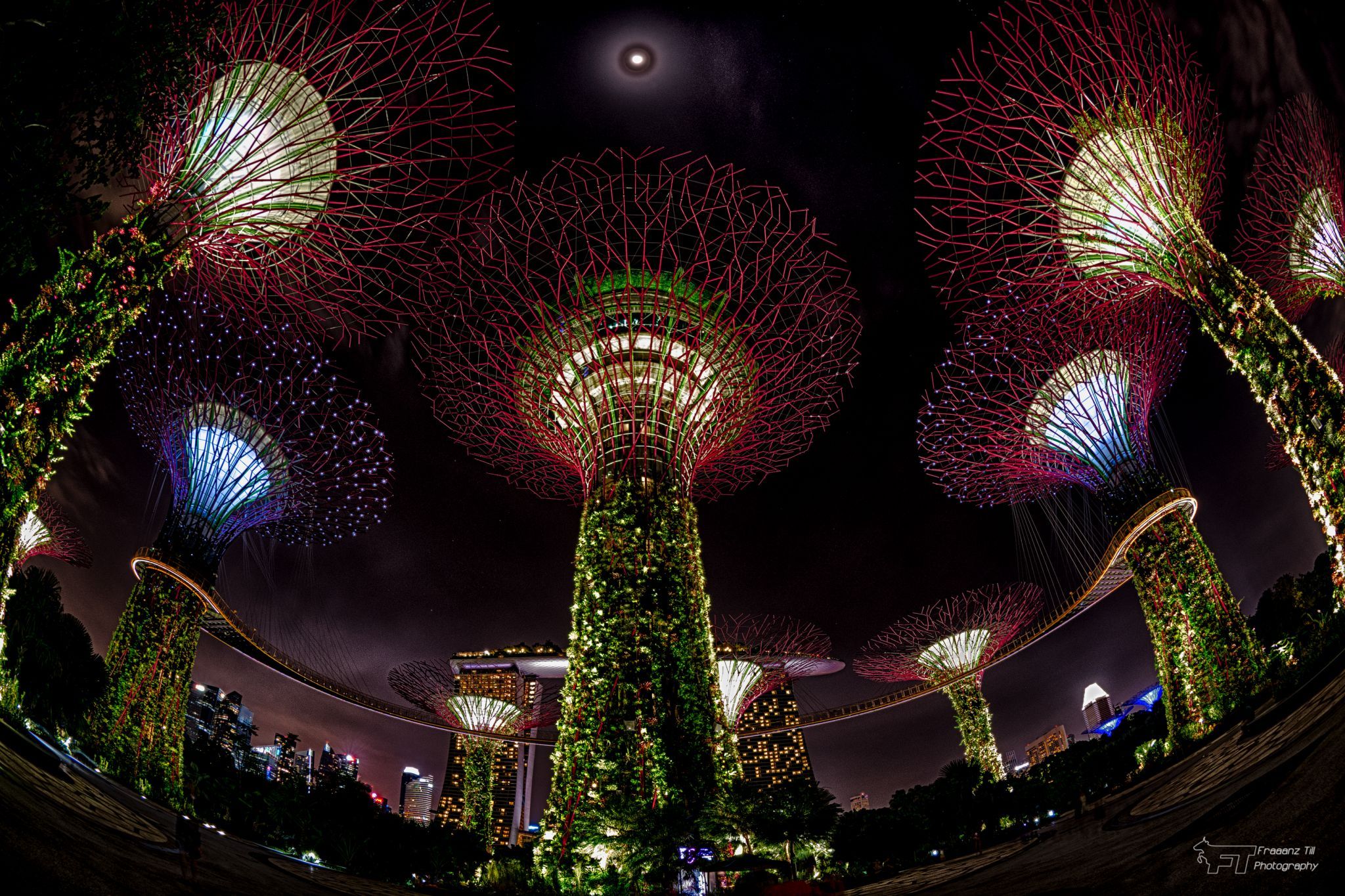 Supertree Grove - Gardens by the bay, Singapore, Singapore