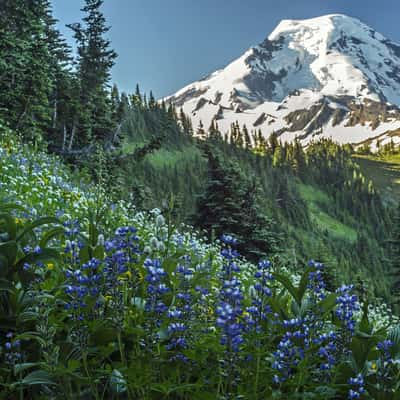 Skyline Divide, USA