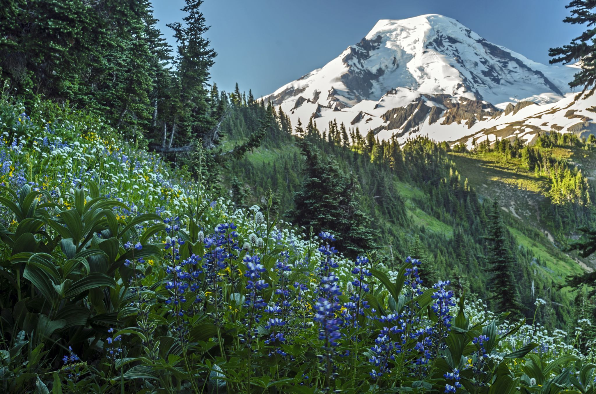 Skyline Divide, USA