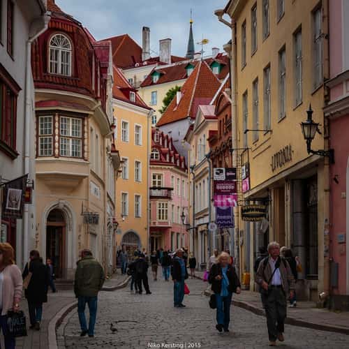 Tallinn Street Life