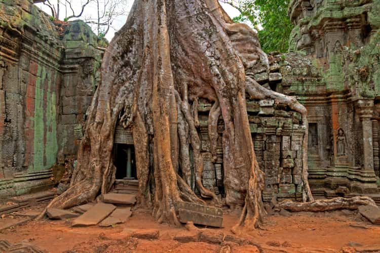 Tempelanlage Ta Prohm
