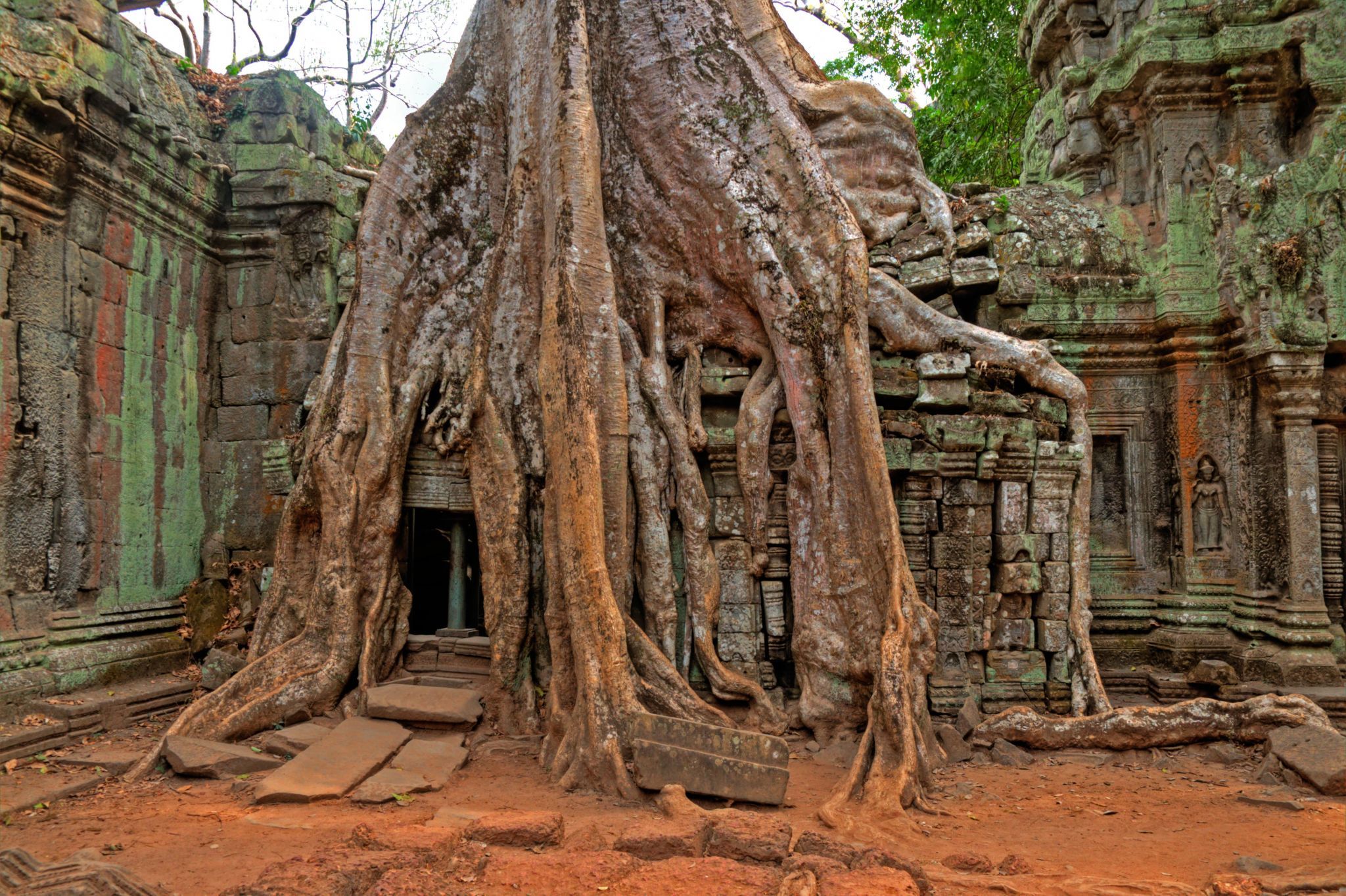 Tempelanlage Ta Prohm, Cambodia