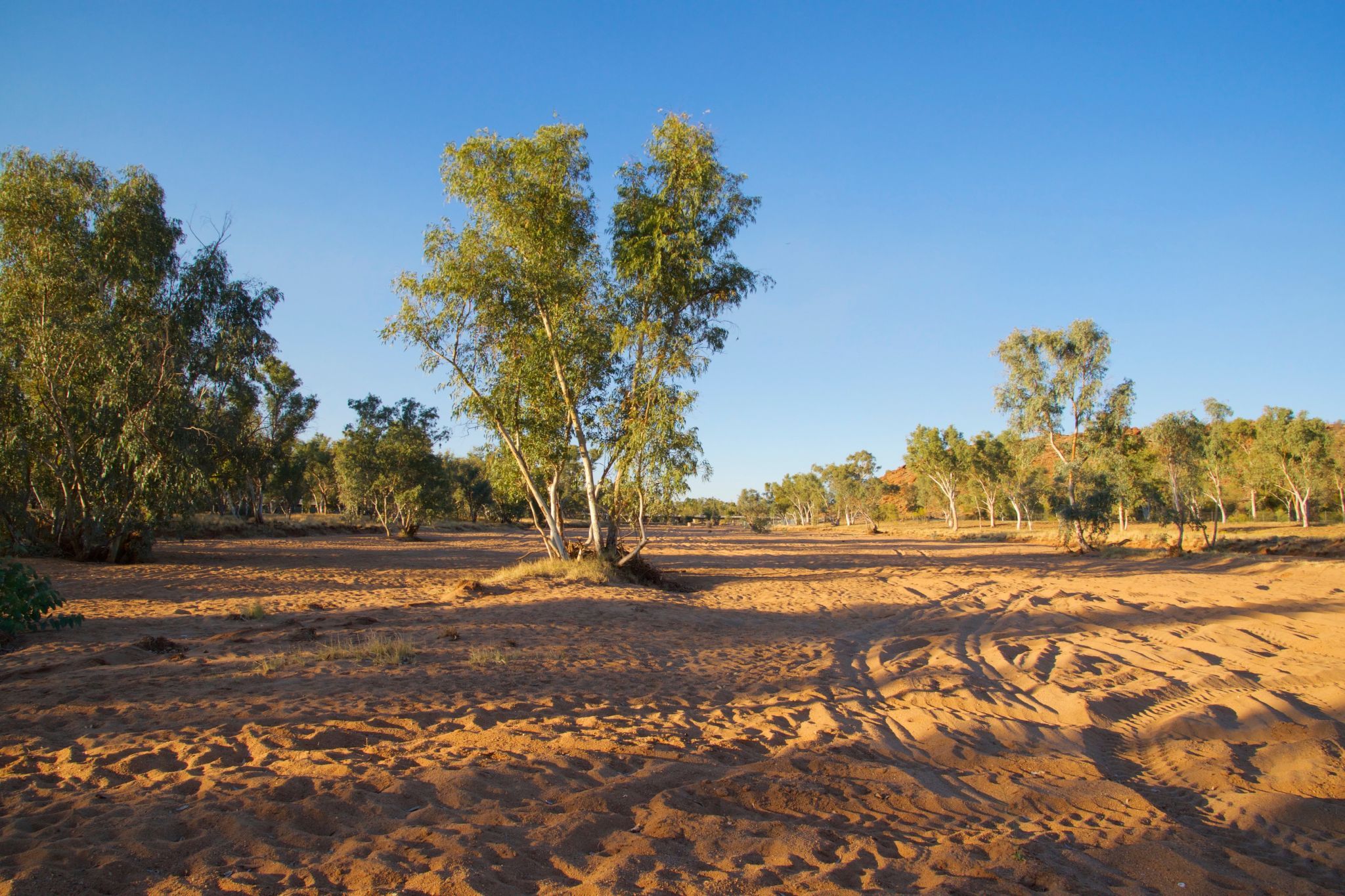 Todd river - Alice Springs, Australia