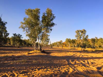 Todd river - Alice Springs