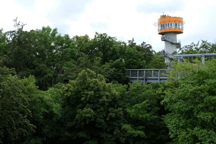 Treetop Walk Hainich