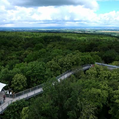 Treetop Walk Hainich, Germany